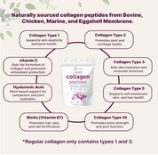 Multi Collagen Protein Powder 2lbs & Vitamin D3